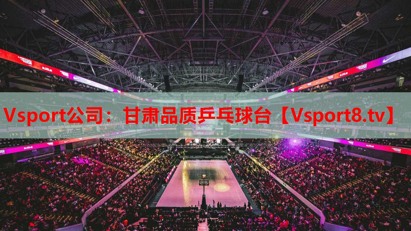 Vsport公司：甘肅品質(zhì)乒乓球臺