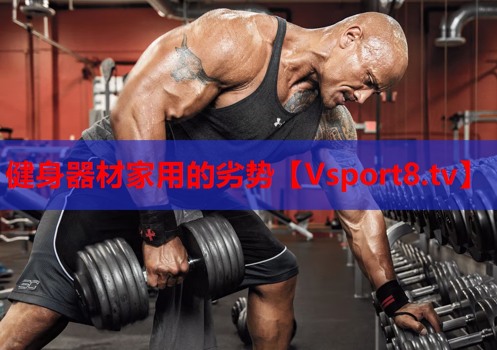 <strong>健身器材家用的劣勢(shì)</strong>
