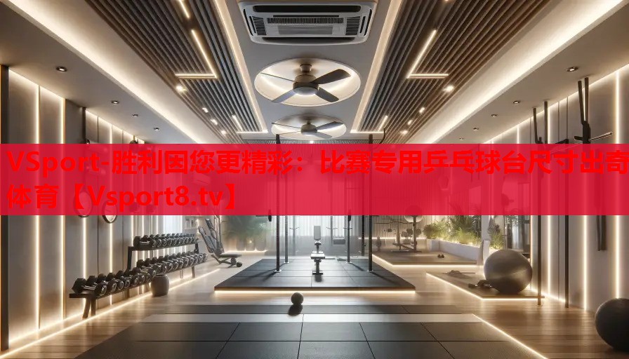 VSport-勝利因您更精彩：比賽專用乒乓球臺(tái)尺寸出奇體育
