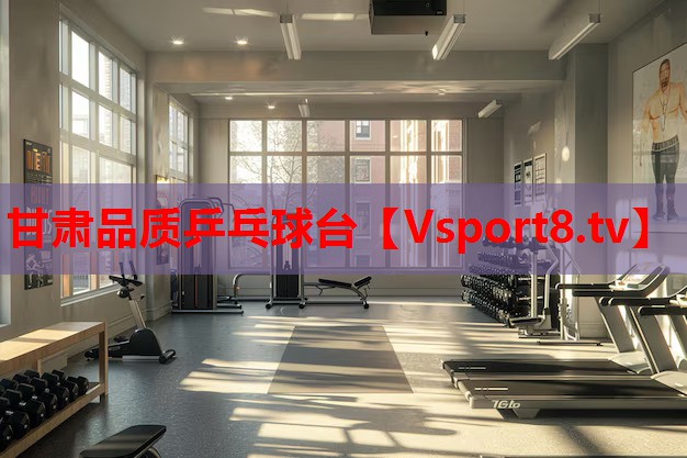 甘肅品質(zhì)乒乓球臺(tái)